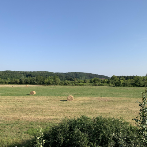 Fehér Orchidea Apartman