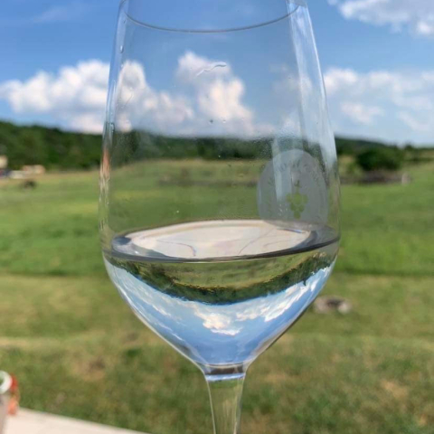 Orchidea Apartmanház